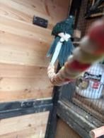 Kakariki, Animaux & Accessoires, Plusieurs animaux, Perruche