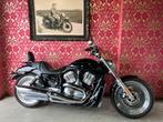 Harley-Davidson V-Rod 1130 12500km VRSC vrod met garantie, 2 cylindres, Plus de 35 kW, Chopper, 1130 cm³