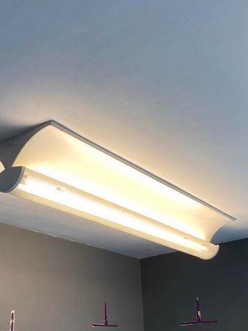 Plafonniers avec néon (2) beschikbaar voor biedingen