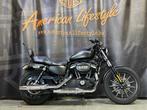 Harley-Davidson Chopper Sportster 883 Iron XL883N, Entreprise, Plus de 35 kW, 883 cm³, Autre