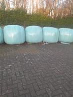 Silo gras voor koeien, Dieren en Toebehoren, Runderen