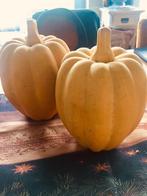 Prachtige decoratieve keramieken pompoenen, Enlèvement