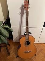 Basse acoustique, Musique & Instruments, Enlèvement, Comme neuf, Acoustique