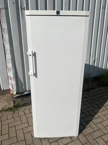Diepvries Liebherr A+++ met GARANTIE beschikbaar voor biedingen