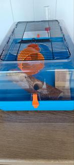 Hamsterkooi, Dieren en Toebehoren, Kooi, Gebruikt, Minder dan 75 cm, Hamster