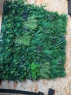 Valse plant frame 1m x 1m, Enlèvement, Neuf