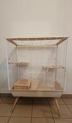 Une cage pour lapin et grands rongeurs "Zolux NEO Muki beige, Animaux & Accessoires, 90 cm ou plus, 75 à 110 cm, Furet, Enlèvement