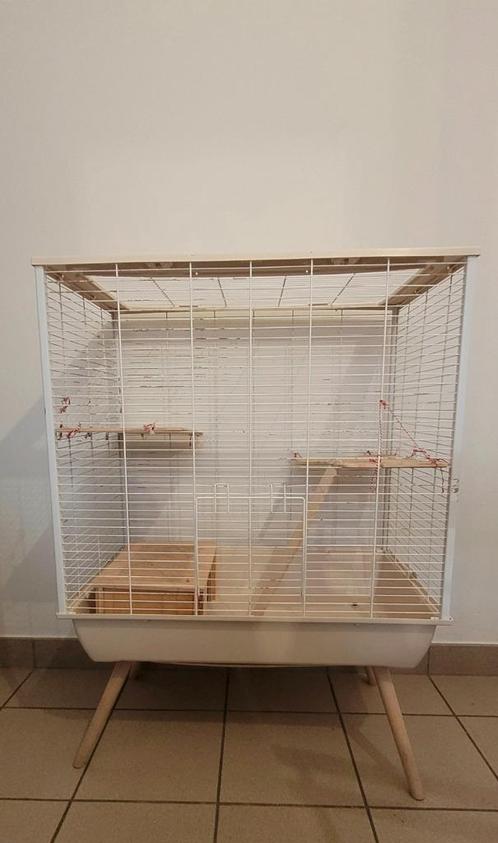 Une cage pour lapin et grands rongeurs "Zolux NEO Muki beige, Animaux & Accessoires, Rongeurs & Lapins | Cages & Clapiers, Utilisé