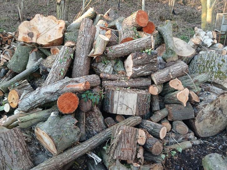 Lot brandhout mix hard/zacht, vers, Tuin en Terras, Overige Tuin en Terras, Nieuw, Ophalen of Verzenden