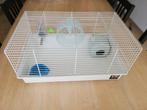 Cage pour hamster nain  ou souris, Animaux & Accessoires, Moins de 60 cm, Cage, Comme neuf, Moins de 75 cm