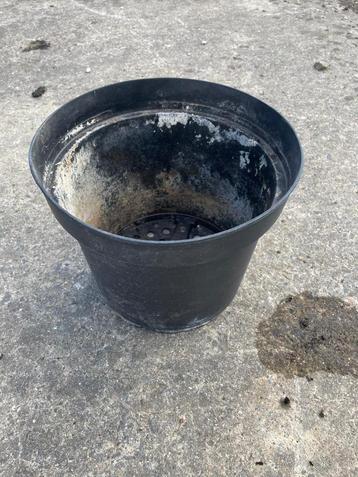 Plantenpotten kweekpotten 7,5L beschikbaar voor biedingen