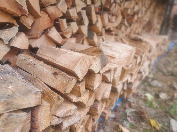 kort brandhout eik/beuk voor de kleine kachel - gratis thuis, Tuin en Terras, Brandhout, Blokken, Eikenhout, 6 m³ of meer, Ophalen