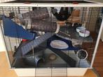 Cage pour rat domestique + accesoires + 60 l de litière, Animaux & Accessoires, Autres accessoires pour animaux, Enlèvement, Utilisé