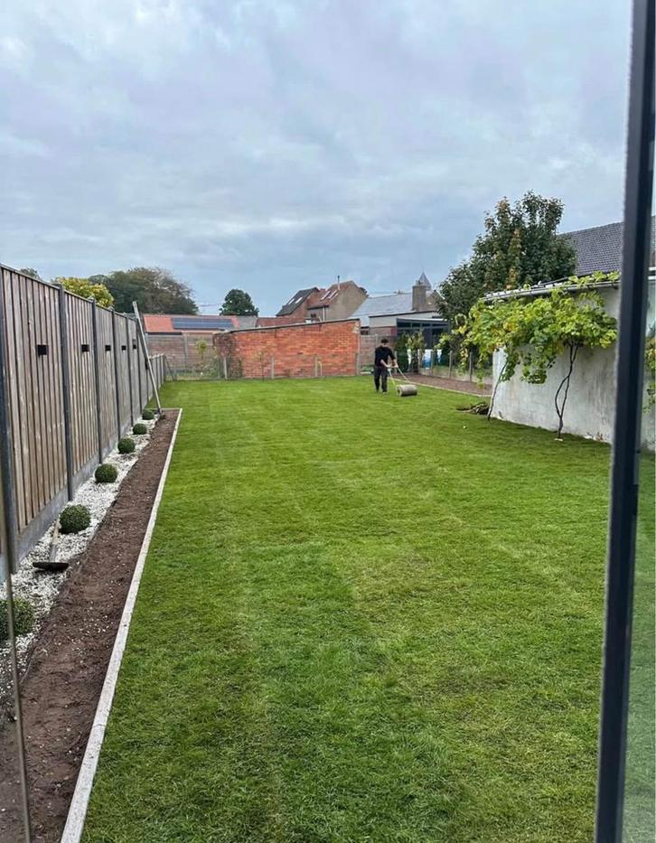 Pose de gazon professionnel, Tuin en Terras, Gras en Kunstgras, Zo goed als nieuw, Ophalen of Verzenden