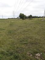 betaal rechten, Zakelijke goederen, Landbouw | Werktuigen, Ophalen, Akkerbouw, Overige typen