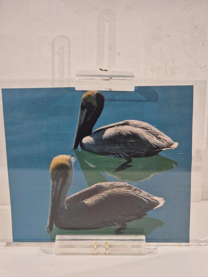 Plexi ezel presentatie staander , portret als illustratie, Antiek en Kunst, Kunst | Schilderijen | Modern, Ophalen of Verzenden