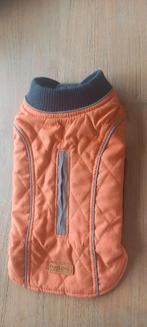 Manteau matelassé, Dieren en Toebehoren, Hondenkleding, Ophalen, Nieuw, Hondenbodywarmer