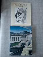 Musée Paul Delvaux 2 livres d'art 1983 et 2007, Livres, Art & Culture | Arts plastiques, Comme neuf, Enlèvement ou Envoi, Peinture et dessin