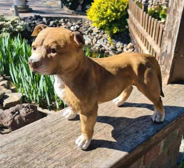 Polyester beeld, staffordshire terrier, Enlèvement, Neuf, Synthétique, Animal
