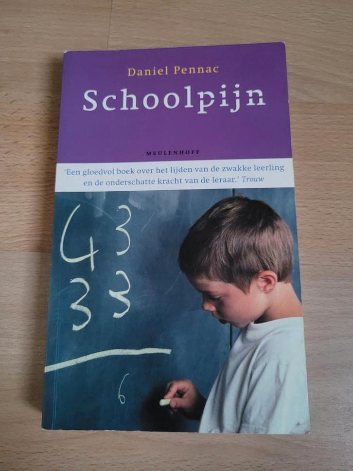 Daniel Pennac - Schoolpijn, Boeken, Literatuur, Zo goed als nieuw, Ophalen of Verzenden