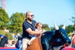 Meerdere Rodeostieren - rodeo stier, Verzenden, Zo goed als nieuw