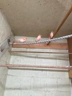 Jonge rood mozaik mannen, Dieren en Toebehoren, Kleurkanarie