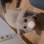 Muis beer, Ophalen