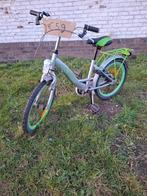 Meisjes fiets 20 inch uniek, Fietsen en Brommers, Ophalen