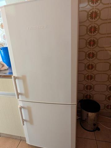 Koelkast beschikbaar voor biedingen