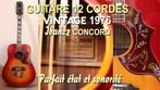 GUITARE 12 CORDES - IBANEZ, Musique & Instruments, Avec valise, Utilisé, Guitare Western ou Guitare Folk, Enlèvement ou Envoi