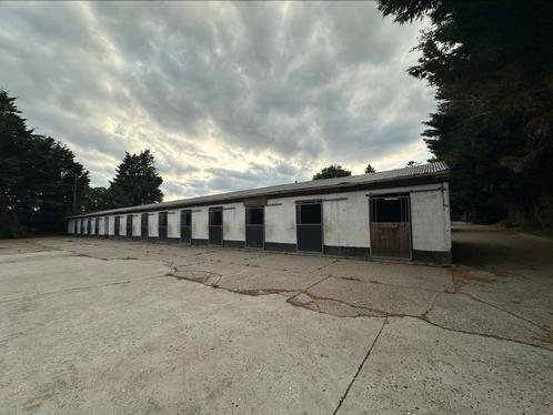 Stallen te huur, Dieren en Toebehoren, Stalling en Weidegang, Stalling, 4 paarden of pony's of meer