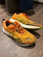 Asics Fuji Lite 4 loopschoenen - 43,5, Sport en Fitness, Loopsport en Atletiek, Gebruikt, Hardloopschoenen, Ophalen of Verzenden