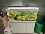 Juwel rio 240 sans meuble + oase biomaster 600, Dieren en Toebehoren, Vissen | Aquaria en Toebehoren, Ophalen, Zo goed als nieuw