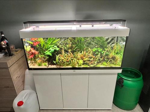 Juwel rio 240 avec meuble + oase biomaster 600, Dieren en Toebehoren, Vissen | Aquaria en Toebehoren, Zo goed als nieuw, Ophalen