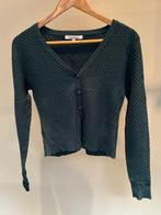 AMPER GEDRAGEN - blauw truitje SWEET SODA - s, Kleding | Dames, Blauw, Sweet soda, Ophalen of Verzenden, Zo goed als nieuw