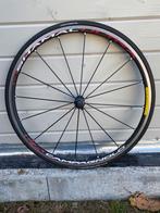 Roue AV Campagnolo Shamal Ultra boyau, Enlèvement ou Envoi, Campagnolo, Vélo de course, Utilisé