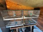 Vogelkooien, Dieren en Toebehoren, Vogels | Hokken en Kooien, Ophalen, Zo goed als nieuw