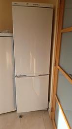 Vrijstaande frigo/diepvries Friac, Ophalen