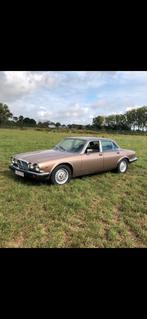 Jaguar xj6 series 3 van 1985, Auto's, Automaat, Achterwielaandrijving, Beige, Bruin