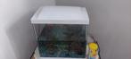 Kleine aquarium te koop, Ophalen, Gebruikt