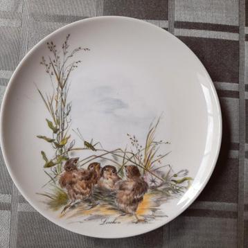 Vintage porseleinen bord Kaiser West Germany  beschikbaar voor biedingen