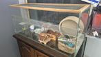 Hamsterkooi/terrarium, Dieren en Toebehoren, Ophalen, Kooi, Gebruikt, Hamster