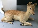 Taxidermie hert, Verzamelen, Ophalen, Gebruikt, Hert, Opgezet dier