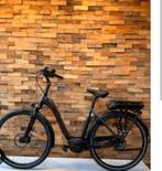 2024 Das e-bike Original Advanced Wave Active Line Plus, Fietsen en Brommers, Elektrische fietsen, 51 tot 55 cm, Ophalen of Verzenden