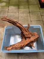 Deco aquarium / terrarium, Animaux & Accessoires, Poissons | Aquariums & Accessoires, Enlèvement, Utilisé, Élément de décoration