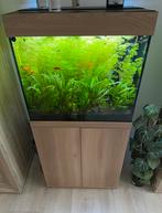 Juwel lido120, Dieren en Toebehoren, Ophalen