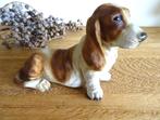 Basset Hound, handbeschilderd. Vintage, Ophalen of Verzenden, Gebruikt, Dier