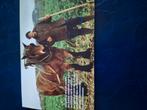 Bidprentje met paard, Verzamelen, Ophalen of Verzenden, Bidprentje