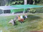 konijnenren , kippenren XL gegalvaniseerd, Dieren en Toebehoren, Pluimvee | Toebehoren, Ophalen of Verzenden, Nieuw, Kippenhok of Kippenren