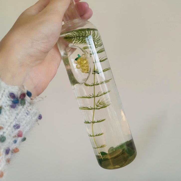 Grof hoornblad, Dieren en Toebehoren, Vissen | Aquaria en Toebehoren, Zo goed als nieuw, Ophalen